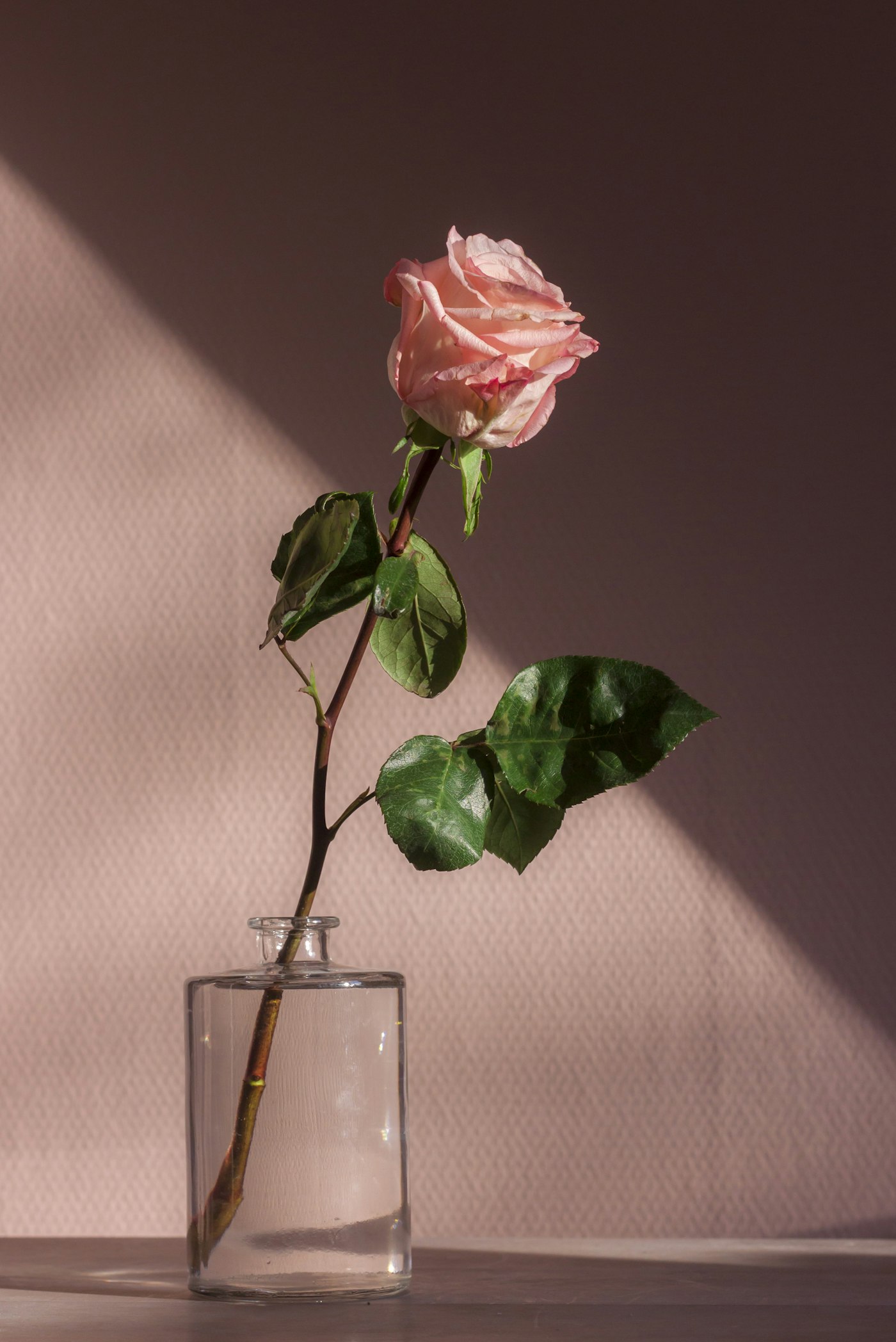 Planten & seizoen